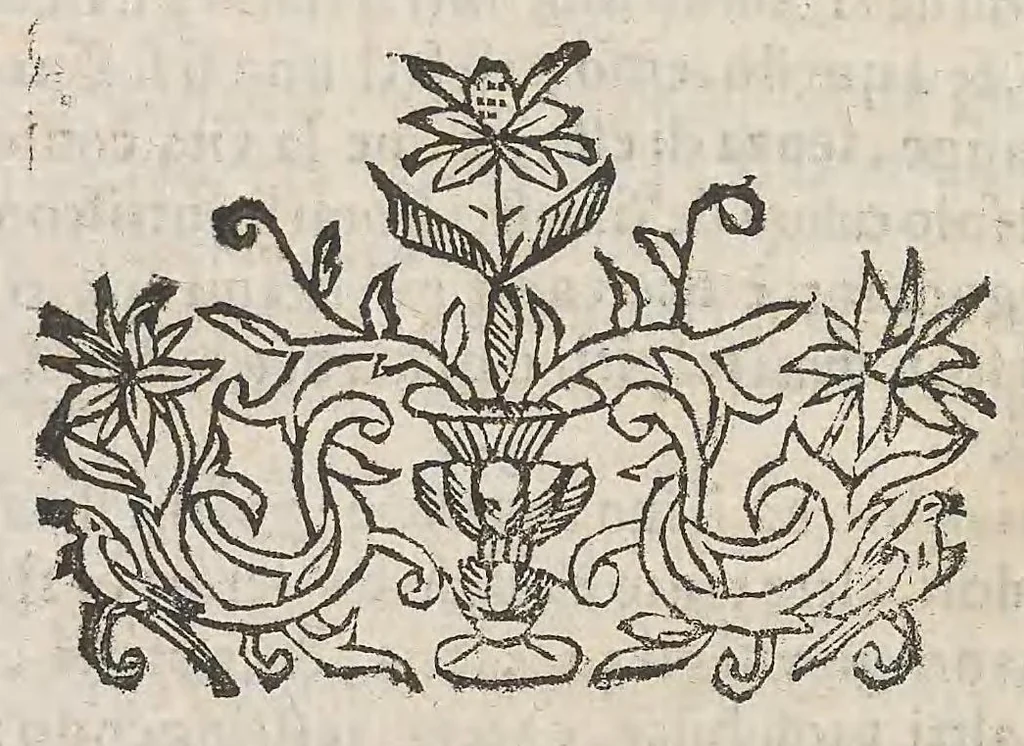 An illustration from Cefalogia fisonomica diuisa in dieci deche : doue conforme à'documenti d'Aristotile, e d'altri filosofi naturali, con breui discorsi, e diligenti osseruationi si esaminano le fisonomie : di cento teste humane che intagliate si vedono in quest' opera : dalle quali per più segni e congetture si dimostrano varie inclinationi di huomini e don̄e, 1630, leaf 334