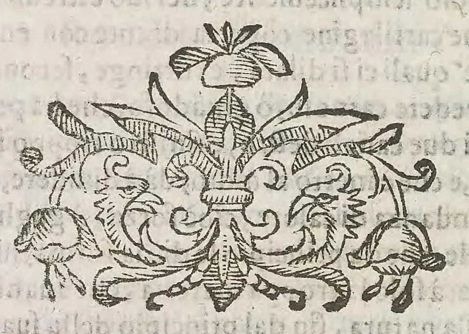 An illustration from Cefalogia fisonomica diuisa in dieci deche : doue conforme à'documenti d'Aristotile, e d'altri filosofi naturali, con breui discorsi, e diligenti osseruationi si esaminano le fisonomie : di cento teste humane che intagliate si vedono in quest' opera : dalle quali per più segni e congetture si dimostrano varie inclinationi di huomini e don̄e, 1630, leaf 352