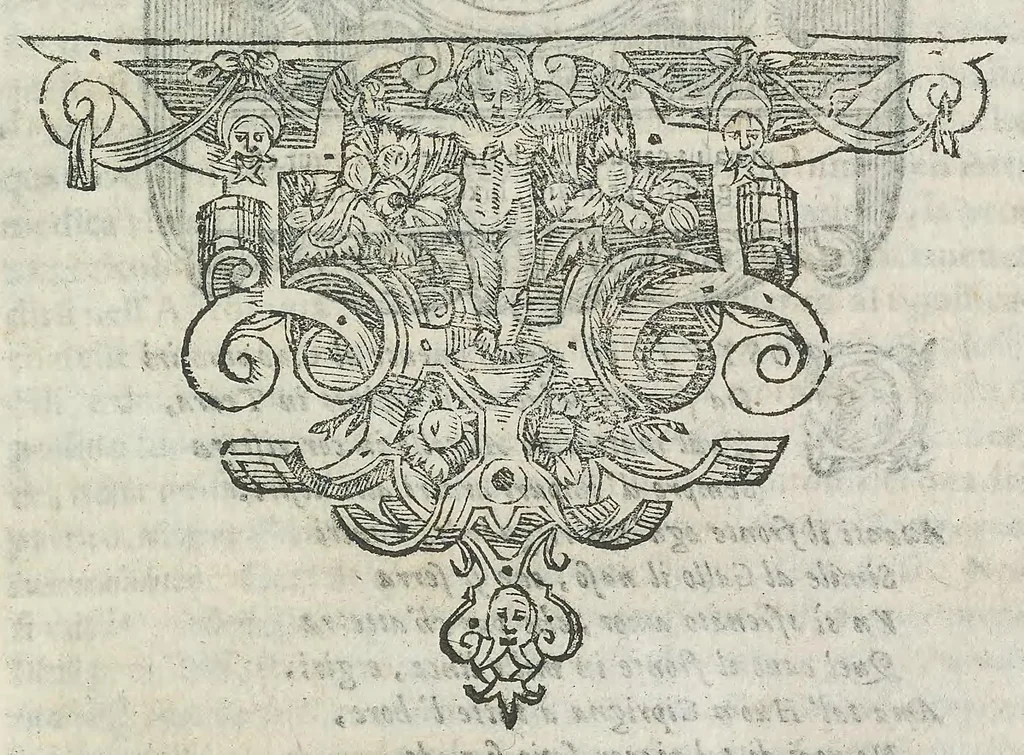 An illustration from Cefalogia fisonomica diuisa in dieci deche : doue conforme à'documenti d'Aristotile, e d'altri filosofi naturali, con breui discorsi, e diligenti osseruationi si esaminano le fisonomie : di cento teste humane che intagliate si vedono in quest' opera : dalle quali per più segni e congetture si dimostrano varie inclinationi di huomini e don̄e, 1630, leaf 393