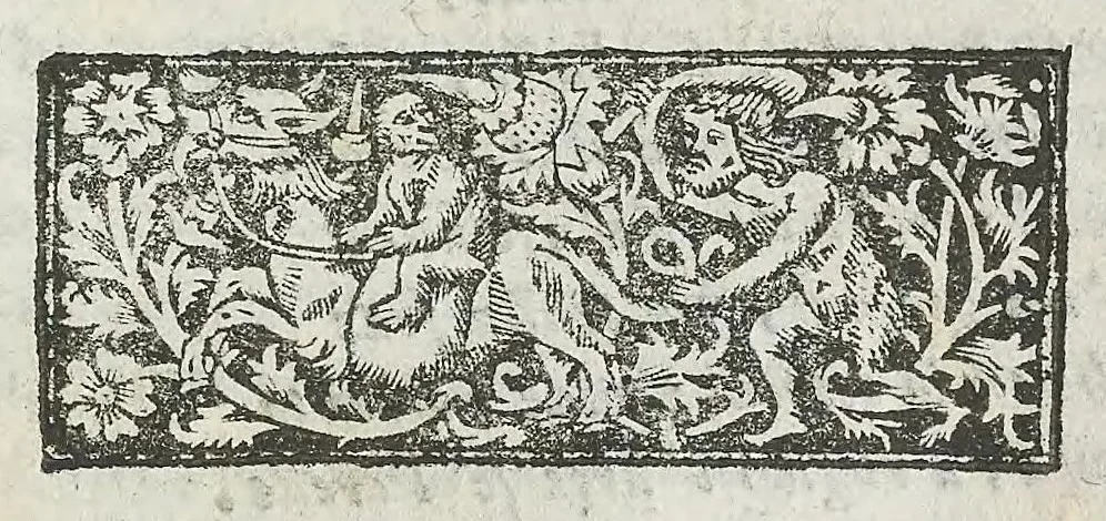 An illustration from Cefalogia fisonomica diuisa in dieci deche : doue conforme à'documenti d'Aristotile, e d'altri filosofi naturali, con breui discorsi, e diligenti osseruationi si esaminano le fisonomie : di cento teste humane che intagliate si vedono in quest' opera : dalle quali per più segni e congetture si dimostrano varie inclinationi di huomini e don̄e, 1630, leaf 401