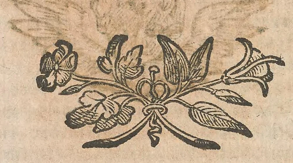 An illustration from Cefalogia fisonomica diuisa in dieci deche : doue conforme à'documenti d'Aristotile, e d'altri filosofi naturali, con breui discorsi, e diligenti osseruationi si esaminano le fisonomie : di cento teste humane che intagliate si vedono in quest' opera : dalle quali per più segni e congetture si dimostrano varie inclinationi di huomini e don̄e, 1630, leaf 592