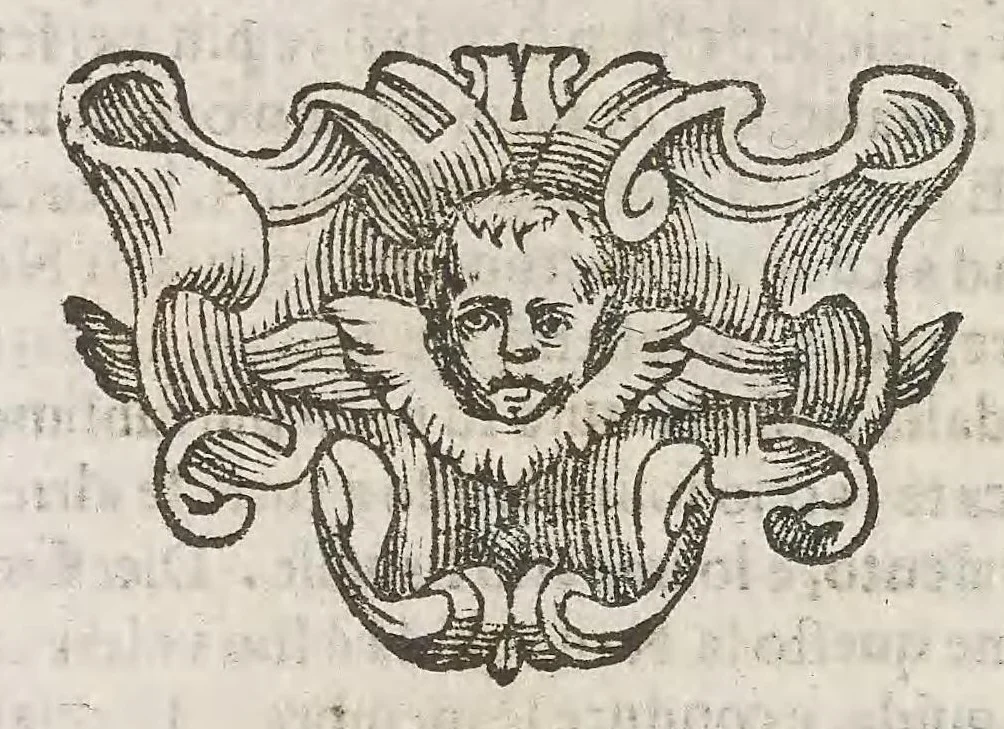 An illustration from Cefalogia fisonomica diuisa in dieci deche : doue conforme à'documenti d'Aristotile, e d'altri filosofi naturali, con breui discorsi, e diligenti osseruationi si esaminano le fisonomie : di cento teste humane che intagliate si vedono in quest' opera : dalle quali per più segni e congetture si dimostrano varie inclinationi di huomini e don̄e, 1630, leaf 608
