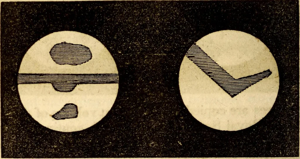 An illustration from Celestial scenery, or, The Wonders of the planetary system displayed : illustrating the perfections of deity and a plurality of worlds, 1845, leaf 127