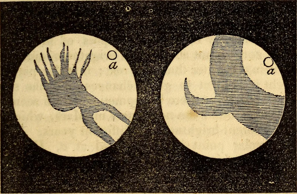 An illustration from Celestial scenery, or, The Wonders of the planetary system displayed : illustrating the perfections of deity and a plurality of worlds, 1845, leaf 128