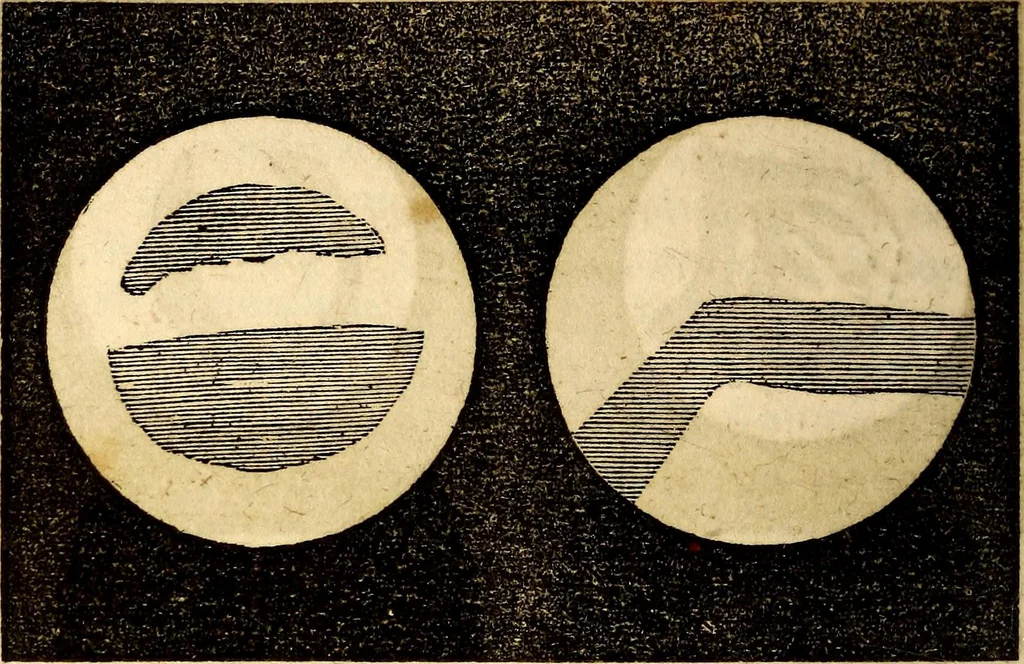 An illustration from Celestial scenery, or, The Wonders of the planetary system displayed : illustrating the perfections of deity and a plurality of worlds, 1845, leaf 129