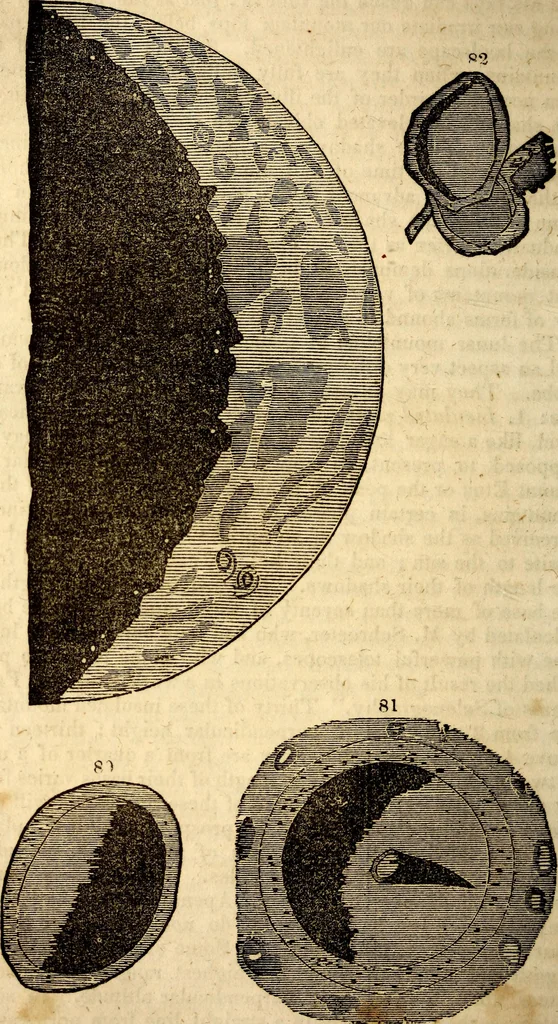 An illustration from Celestial scenery, or, The Wonders of the planetary system displayed : illustrating the perfections of deity and a plurality of worlds, 1845, leaf 241