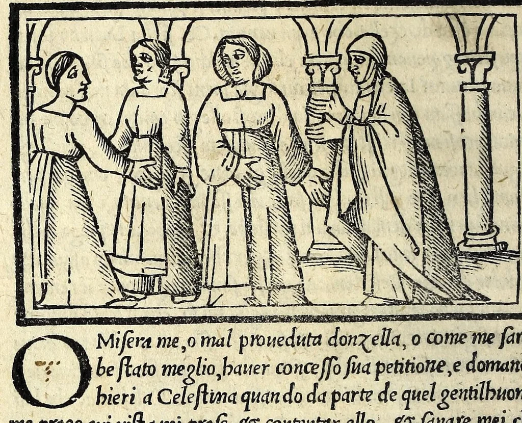 An illustration from Celestina : tragicomedia de Calisto et Melibea : novamente tradotta de lingua castigliana in italiano idioma : agiontoui di nuouo tutto quello che fin al giorno presente li mancaua : dapoi ogni altra impressione nouissimamente corretta, distinta, ordinata, & in piu com̃oda forma redotta, adornata, lequal cose nelle altre ĩpressione non si troua, 1531, leaf 150
