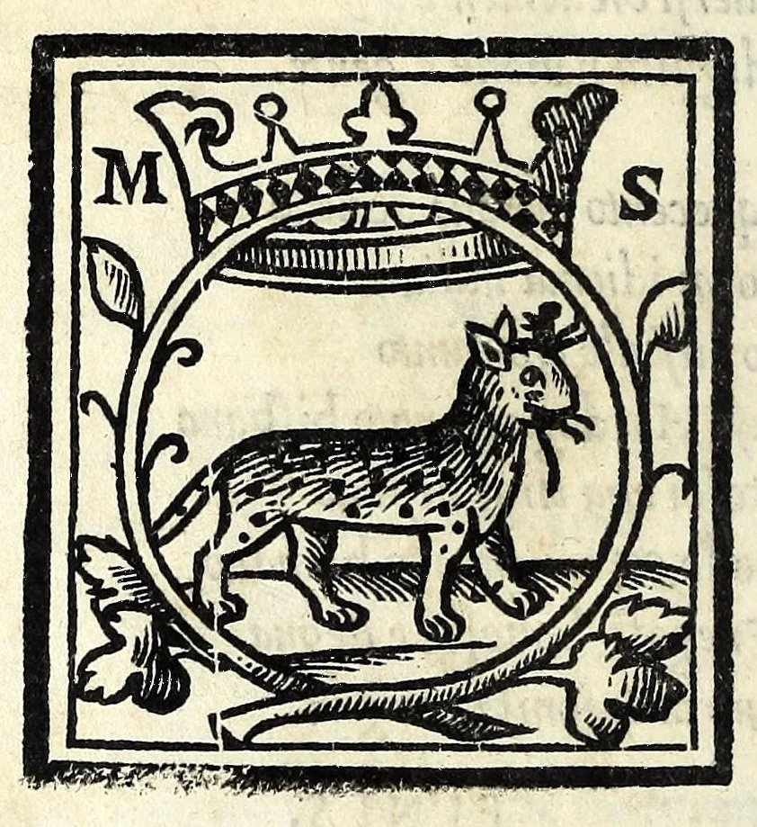 An illustration from Celestina : tragicomedia de Calisto et Melibea : novamente tradotta de lingua castigliana in italiano idioma : agiontoui di nuouo tutto quello che fin al giorno presente li mancaua : dapoi ogni altra impressione nouissimamente corretta, distinta, ordinata, & in piu com̃oda forma redotta, adornata, lequal cose nelle altre ĩpressione non si troua, 1531, leaf 230