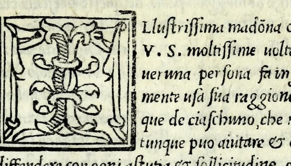 An illustration from Celestina : tragicomedia de Calisto et Melibea : novamente tradotta de lingua castigliana in italiano idioma : agiontoui di nuouo tutto quello che fin al giorno presente li mancaua : dapoi ogni altra impressione nouissimamente corretta, distinta, ordinata, & in piu com̃oda forma redotta, adornata, lequal cose nelle altre ĩpressione non si troua, 1531, leaf 9