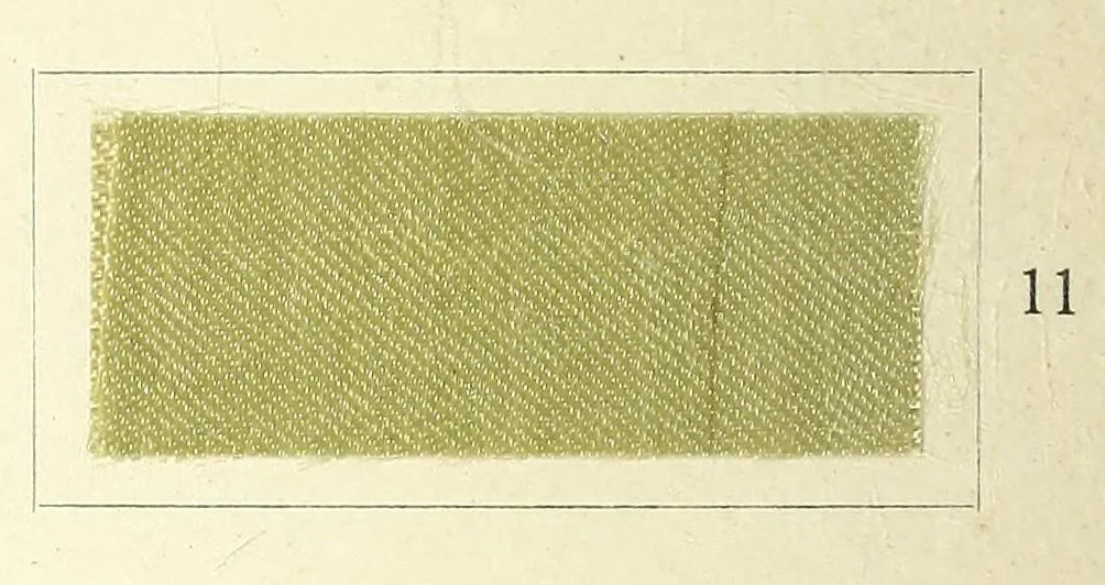 An illustration from Cellitechtfarben = Cellit fast colours = Colorants cellit solides, 1880, leaf 14
