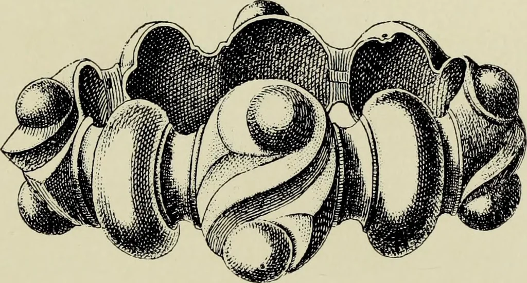 An illustration from Celtic art in pagan and Christian times, 1904, leaf 36