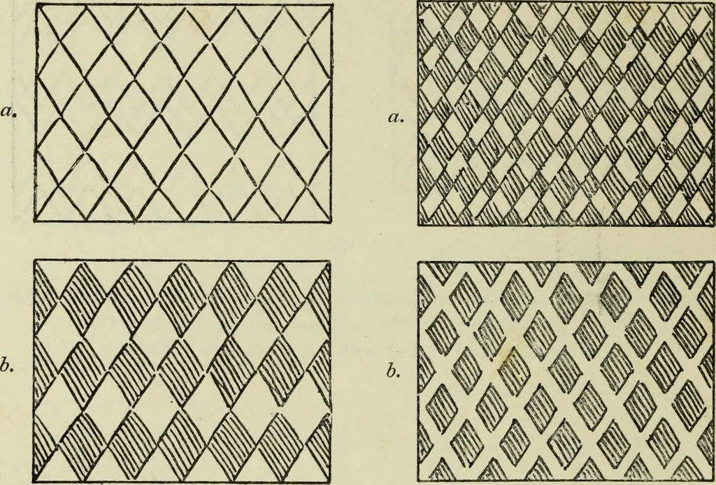 An illustration from Celtic art in pagan and Christian times, 1904, leaf 69