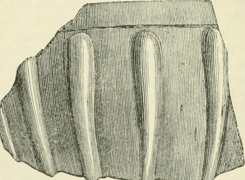 An illustration from The Celt, the Roman, and the Saxon : a history of the early inhabitants of Britain, down to the conversion of the Anglo-Saxons to Christianity ; illustrated by the ancient remains brought to light by recent research / by Thomas Wright ; with numerous engravings on wood, 1902, leaf 301