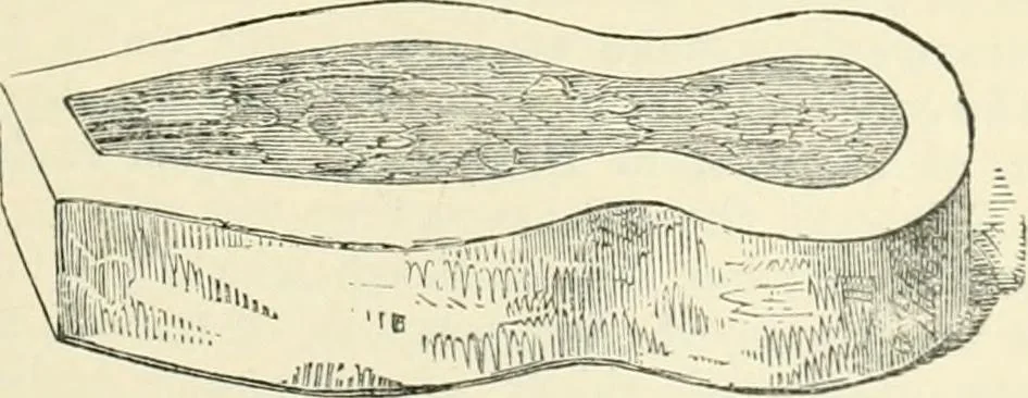An illustration from The Celt, the Roman, and the Saxon : a history of the early inhabitants of Britain, down to the conversion of the Anglo-Saxons to Christianity ; illustrated by the ancient remains brought to light by recent research / by Thomas Wright ; with numerous engravings on wood, 1902, leaf 384