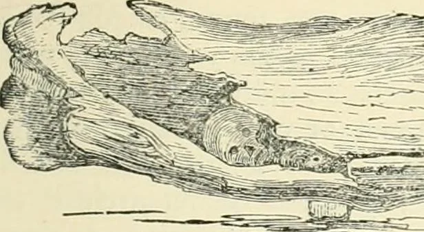 An illustration from The Celt, the Roman, and the Saxon : a history of the early inhabitants of Britain, down to the conversion of the Anglo-Saxons to Christianity ; illustrated by the ancient remains brought to light by recent research / by Thomas Wright ; with numerous engravings on wood, 1902, leaf 392