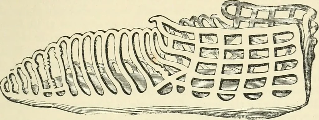 An illustration from The Celt, the Roman, and the Saxon : a history of the early inhabitants of Britain, down to the conversion of the Anglo-Saxons to Christianity ; illustrated by the ancient remains brought to light by recent research / by Thomas Wright ; with numerous engravings on wood, 1902, leaf 414