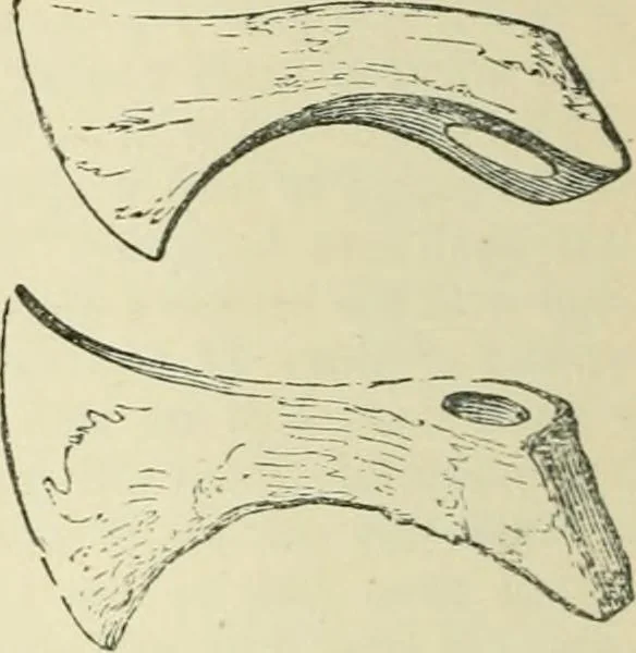 An illustration from The Celt, the Roman, and the Saxon : a history of the early inhabitants of Britain, down to the conversion of the Anglo-Saxons to Christianity ; illustrated by the ancient remains brought to light by recent research / by Thomas Wright ; with numerous engravings on wood, 1902, leaf 495