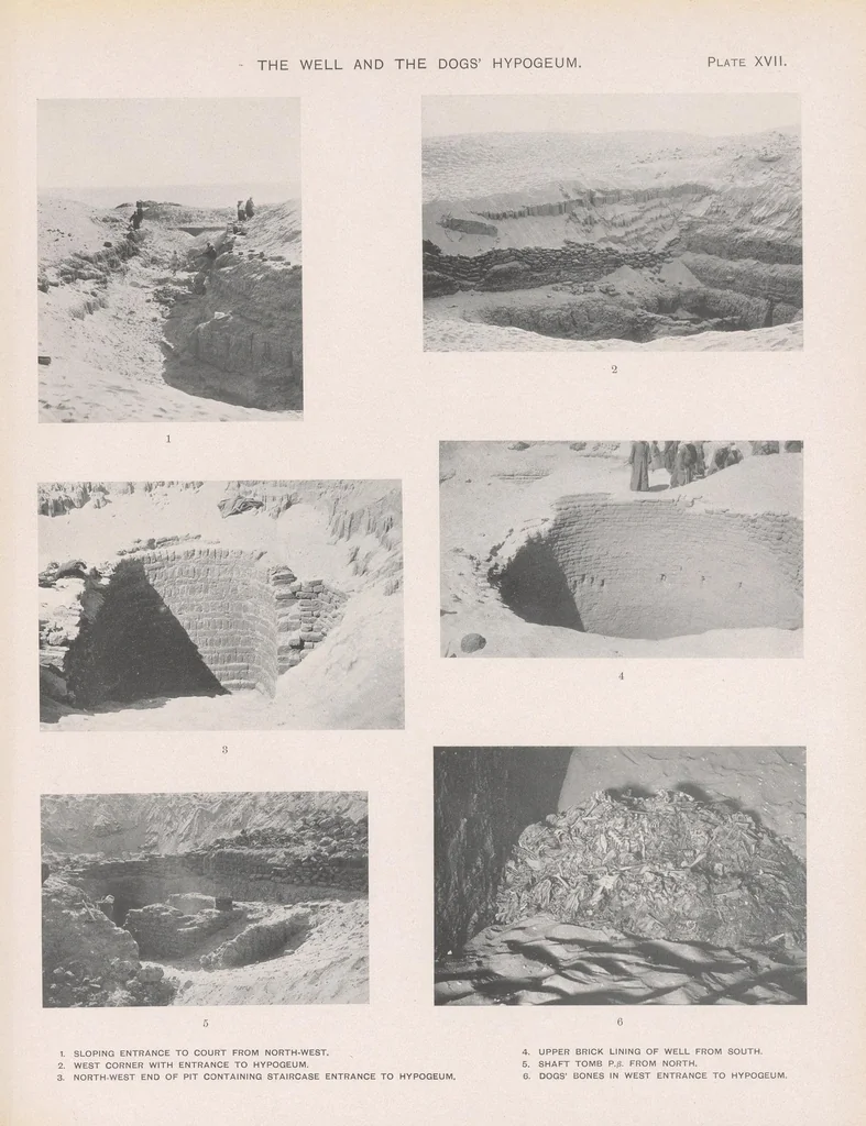 An illustration from The Cemeteries of Abydos, 1913, leaf 189