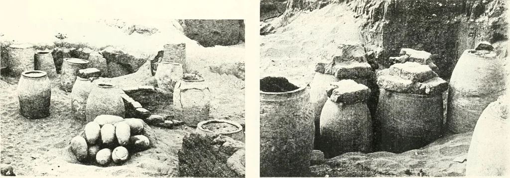 An illustration from The Cemeteries of Abydos, 1913, leaf 102