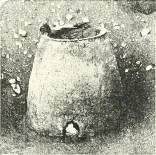 An illustration from The Cemeteries of Abydos, 1913, leaf 104