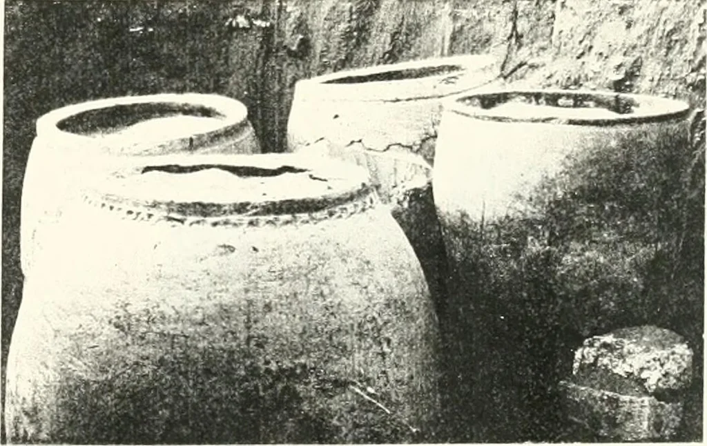 An illustration from The Cemeteries of Abydos, 1913, leaf 104