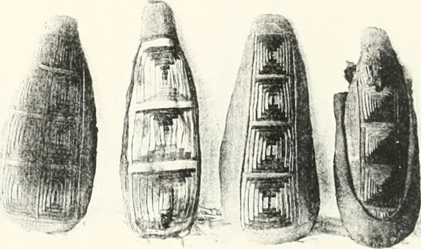 An illustration from The Cemeteries of Abydos, 1913, leaf 108