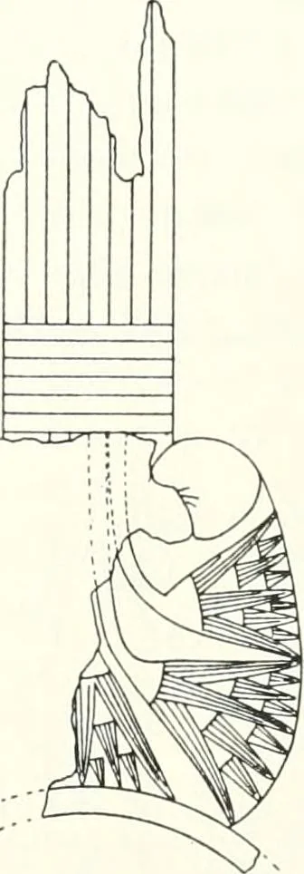 An illustration from The Cemeteries of Abydos, 1913, leaf 44