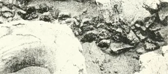 An illustration from The Cemeteries of Abydos, 1913, leaf 70