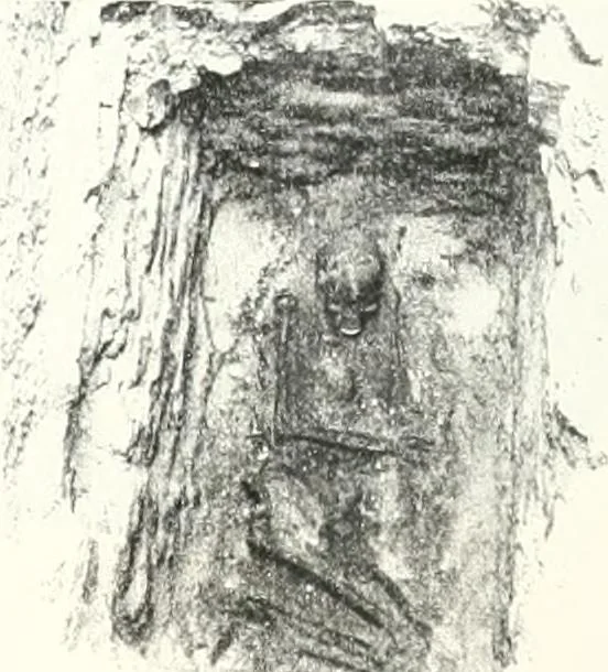 An illustration from The Cemeteries of Abydos, 1913, leaf 72