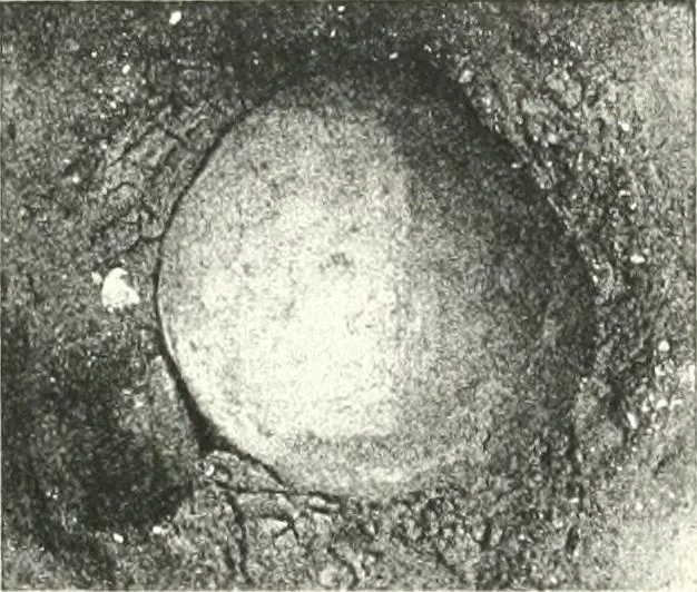 An illustration from The Cemeteries of Abydos, 1913, leaf 72