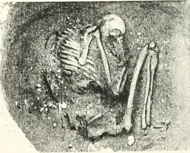 An illustration from The Cemeteries of Abydos, 1913, leaf 72