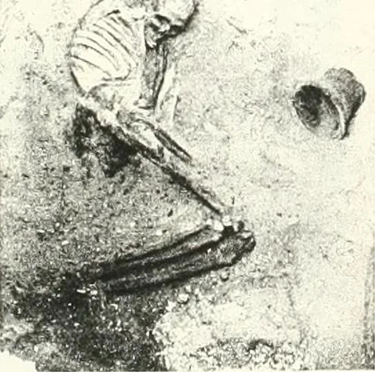 An illustration from The Cemeteries of Abydos, 1913, leaf 72