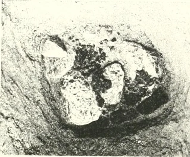 An illustration from The Cemeteries of Abydos, 1913, leaf 74