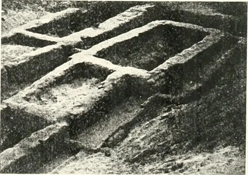 An illustration from The Cemeteries of Abydos, 1913, leaf 74