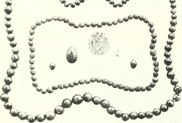 An illustration from The Cemeteries of Abydos, 1913, leaf 86
