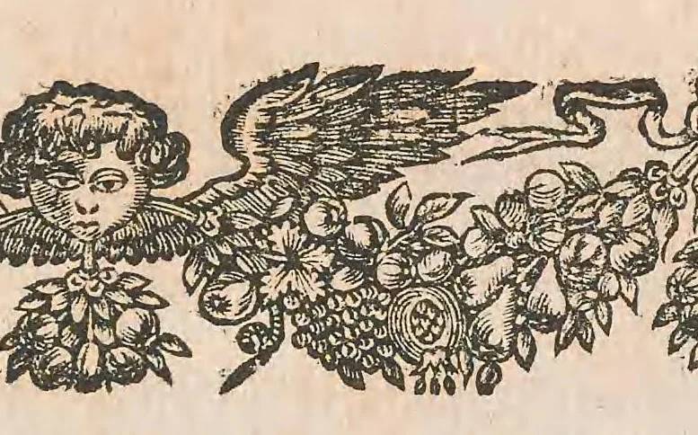 An illustration from Censura celebriorum authorum, sive, Tractatvs in qvo varia virorvm doctorvm de clarissimis cujusque seculi scriptoribus iudicia traduntur, 1694, leaf 13