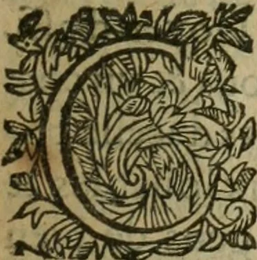An illustration from Censvra Sacrae Facvultatis Theologiae Parisiensis lata in seditiosum libellum qui inscribitur G.G.R. Theologi ad Lvdovieva XIII, 1625, leaf 220