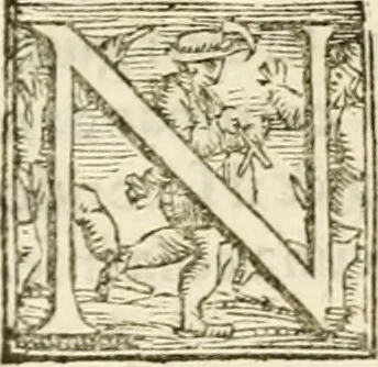An illustration from Cento givochi liberali, et d'ingegno, 1551, leaf 234