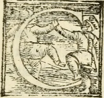 An illustration from Cento givochi liberali, et d'ingegno, 1551, leaf 264