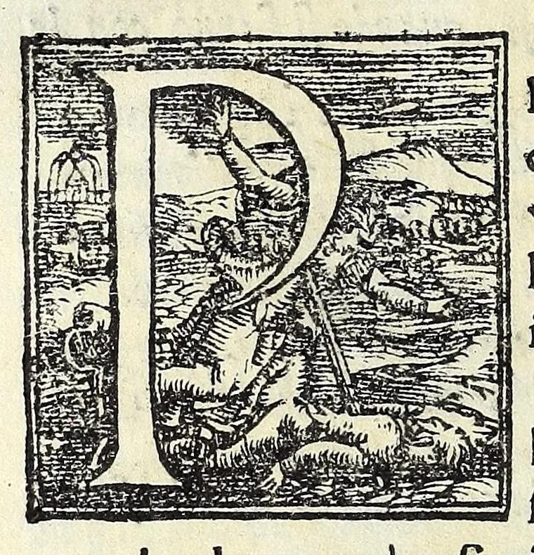 An illustration from Cento givochi liberali, et d'ingegno, 1551, leaf 308
