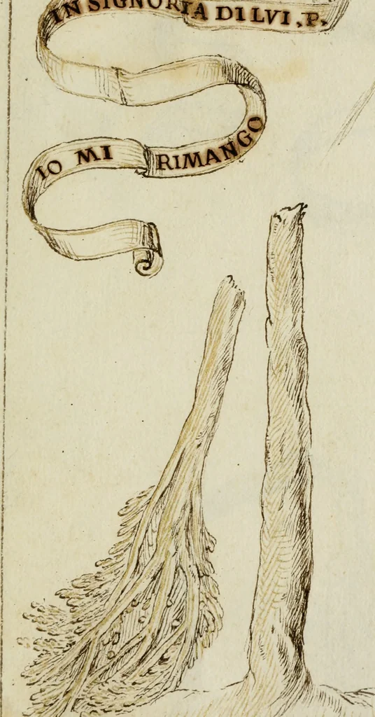 An illustration from Cento imprese, 1615, leaf 102