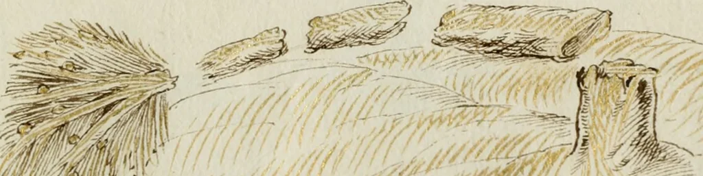 An illustration from Cento imprese, 1615, leaf 106
