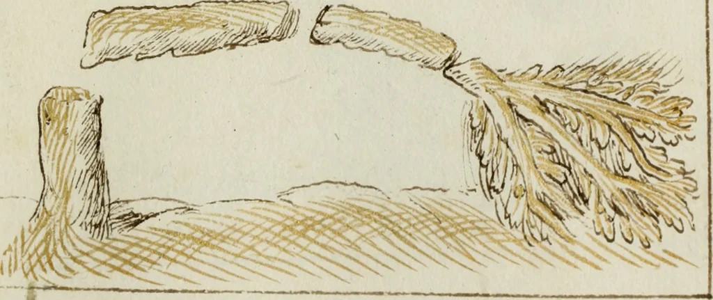 An illustration from Cento imprese, 1615, leaf 114