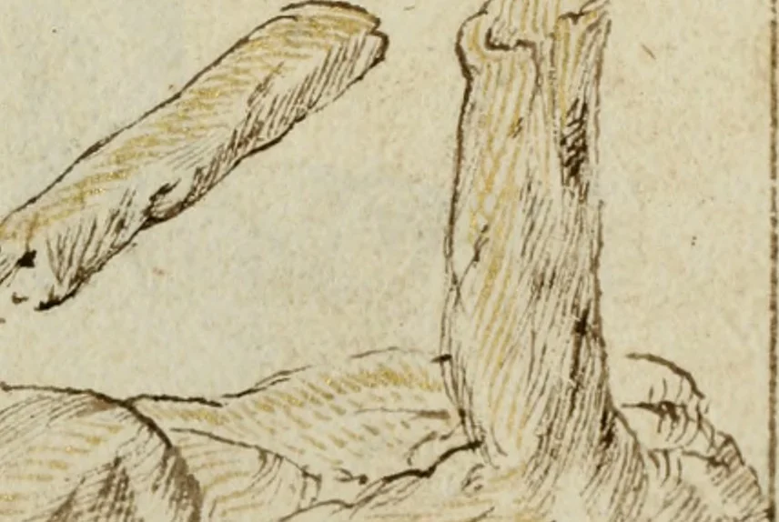 An illustration from Cento imprese, 1615, leaf 118