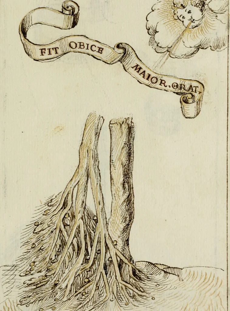 An illustration from Cento imprese, 1615, leaf 120