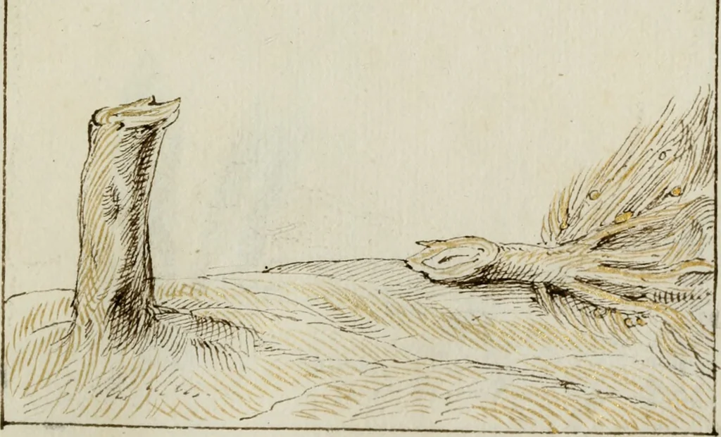 An illustration from Cento imprese, 1615, leaf 130