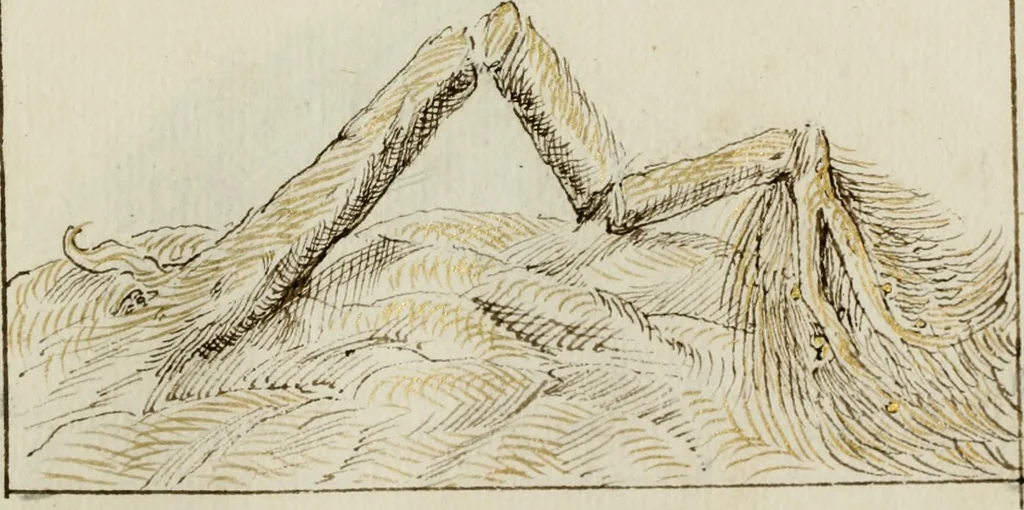 An illustration from Cento imprese, 1615, leaf 136