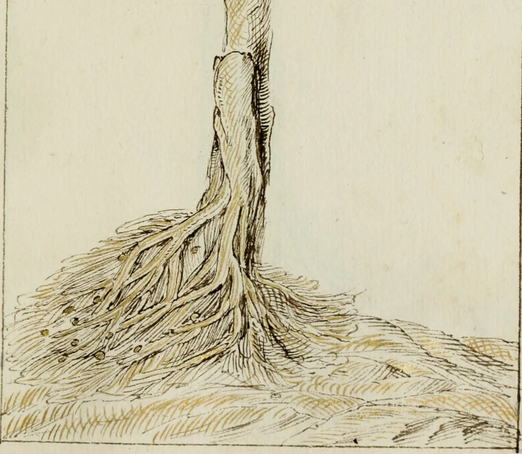 An illustration from Cento imprese, 1615, leaf 138