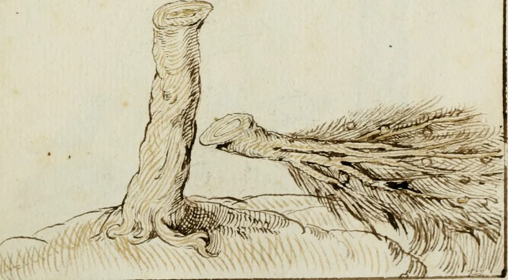 An illustration from Cento imprese, 1615, leaf 14