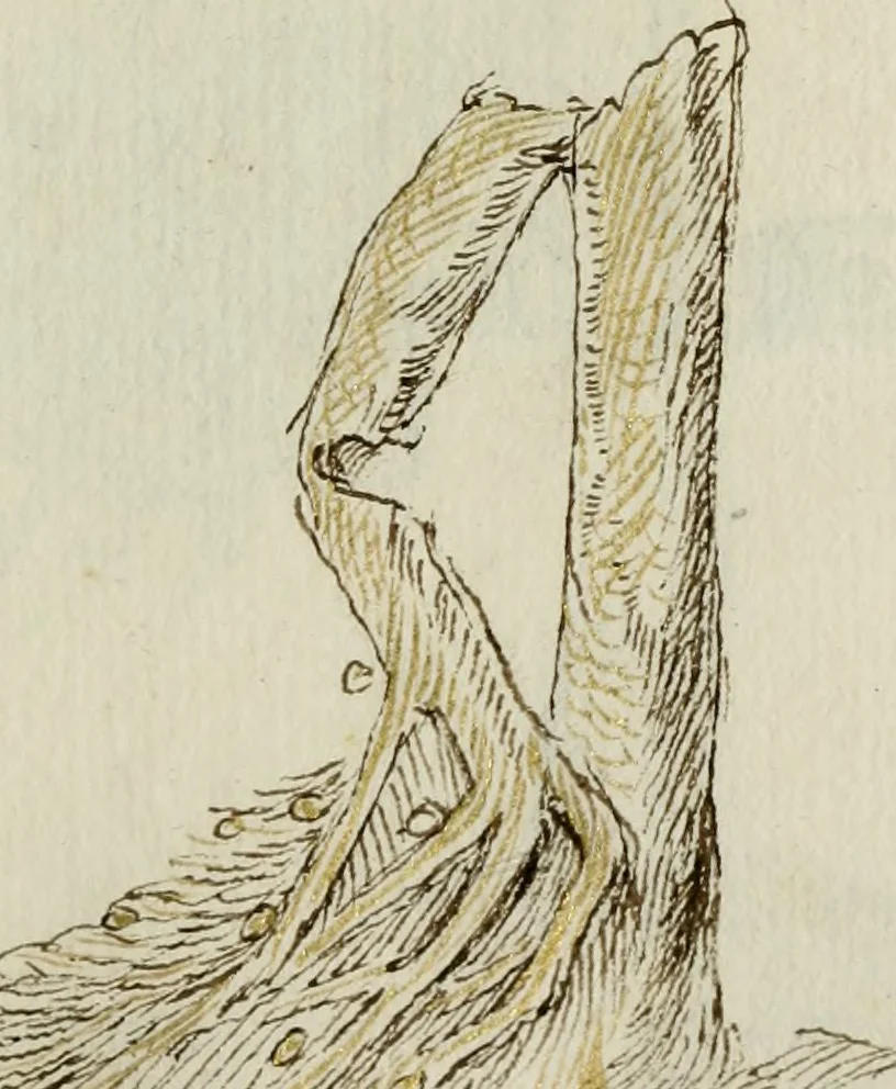 An illustration from Cento imprese, 1615, leaf 144